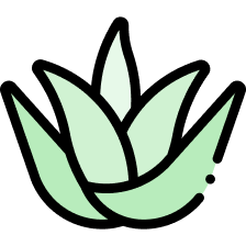 مکمل گیاهی