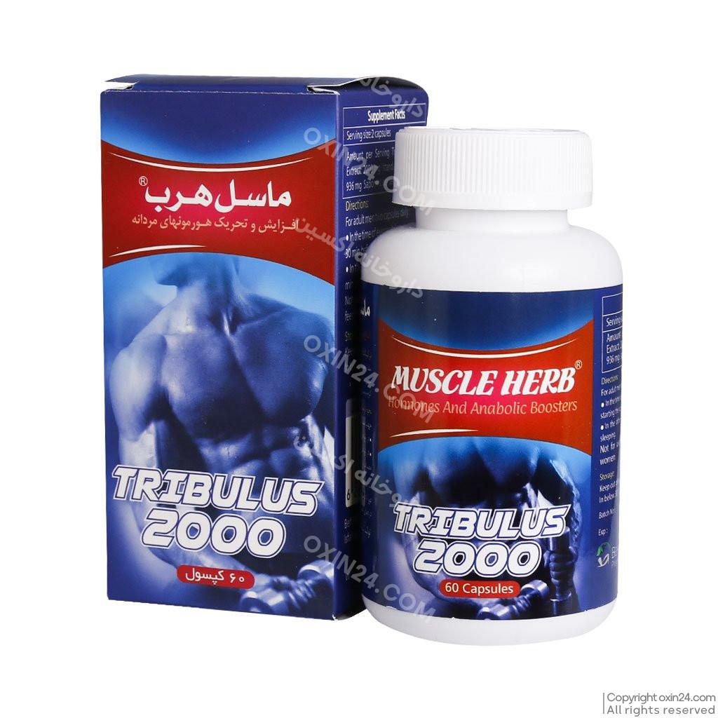 کپسول ماسل هرب بهتا دارو 60 عددی